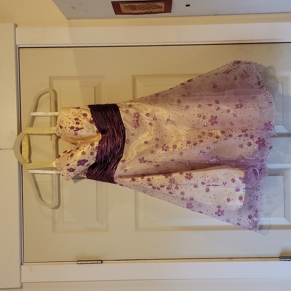 Prom/Homecoming dress